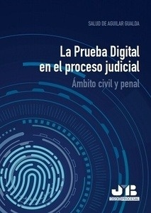 Prueba Digital en el proceso judicial, La "Ámbito civil y penal"