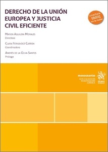 Derecho de la Unión Europea y justicia civil eficiente
