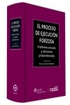 Proceso de ejecución forzosa, El "problemas actuales y soluciones jurisprudenciales"