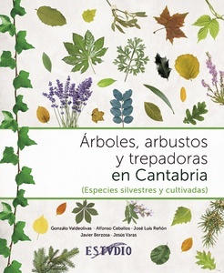 Árboles, arbustos y trepadoras en Cantabria