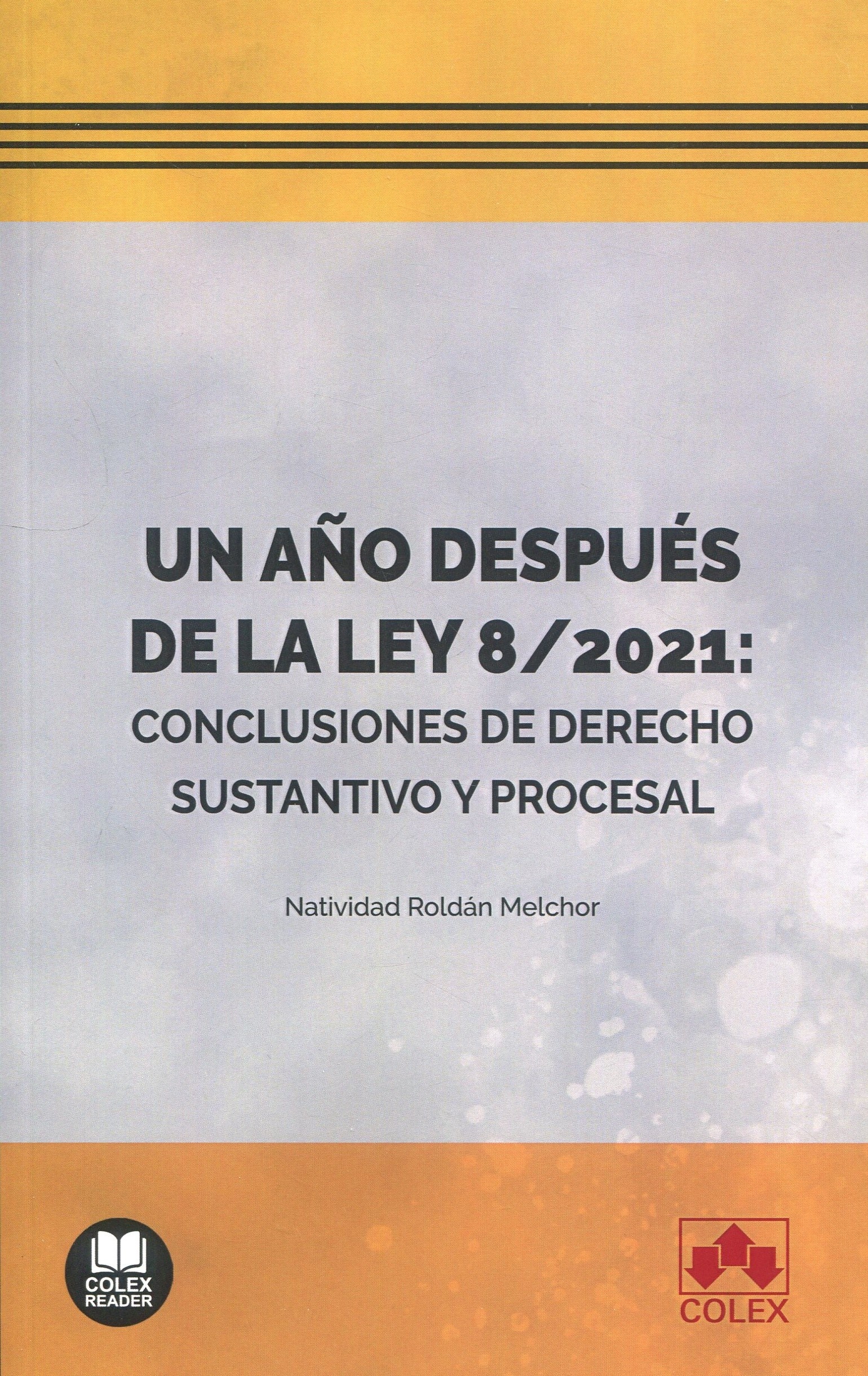 Un año después de la Ley 8/2021: conclusiones de derecho sustantivo y procesal