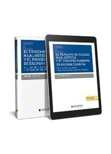 El derecho de acceso a la justicia y el proceso europeo de escasa cuantía