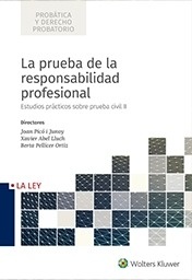 Prueba de la responsabilidad profesional, La "Estudios prácticos sobre prueba civil II"