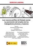 Nuevos perfiles del Estado social, Los