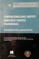 Convencionalidad, nuevos derechos y grupos vulnerables : necesidad de tutela judicial efectiva "Nueva Tutela Judicial Efectiva"