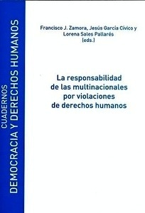 Responsabilidad de las multinacionales por violaciones de derechos humanos, La