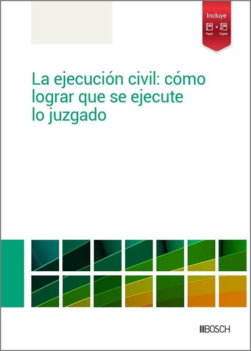 La ejecución civil: cómo lograr que se ejecute lo juzgado