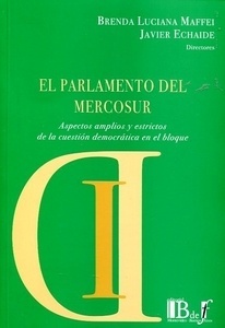Parlamento del mercosur, El "Aspectos amplios y estrictos de la cuestión democrática en el bloque"