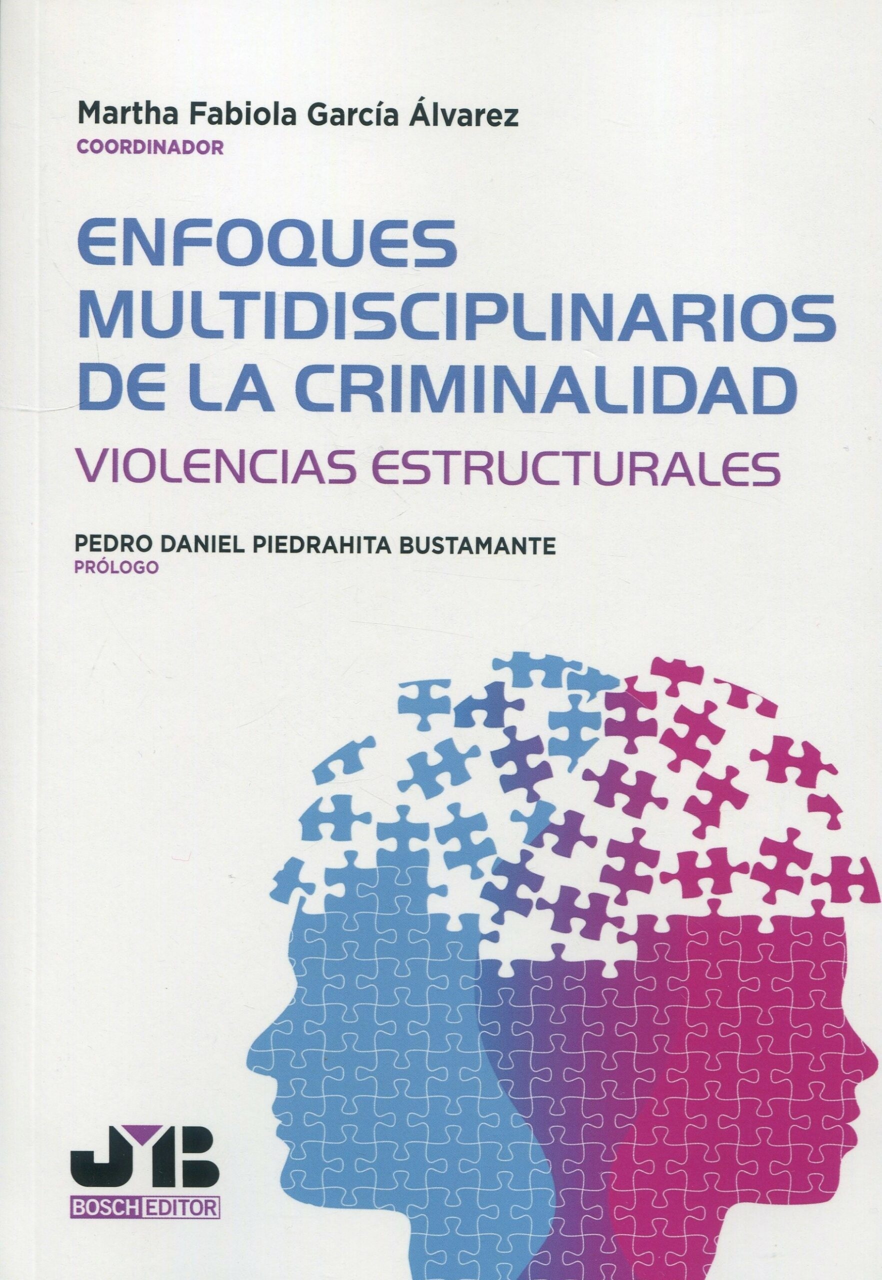 Enfoques multidisciplinarios de la criminalidad. Violencias estructurales