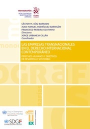 Empresas transnacionales en el derecho internacional contemporáneo, Las
