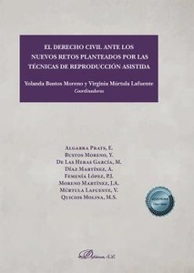 Derecho civil ante los nuevos retos planteados por las técnicas de reproducción asistida, El