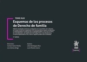 Esquemas de los procesos de derecho de familia Tomo XLVIII