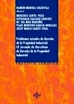 Problemas actuales de Derecho de la Propiedad Industrial "IX jornadas de derecho de la propiedad industrial"