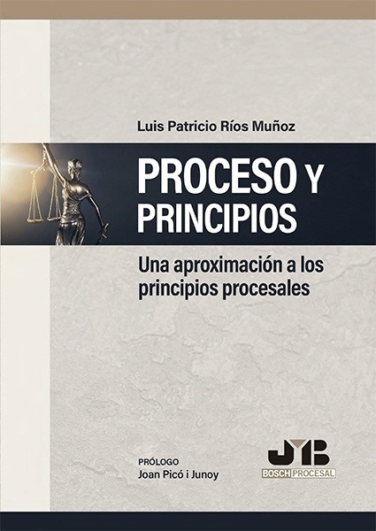 Proceso y Principios "Una aproximación a los principios procesales"