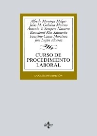 Curso de procedimiento laboral