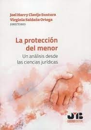 La protección del menor. Un análisis desde las Ciencias Jurídicas