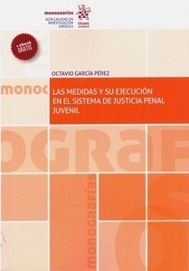 Medidas y su ejecución en el sistema de justicia penal juvenil, Las