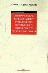 Libertad sindical, representación y otros derechos colectivos en el empleo público: cuestiones de interés