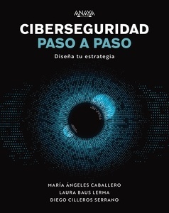 Ciberseguridad paso a paso: Diseña tu estrategia