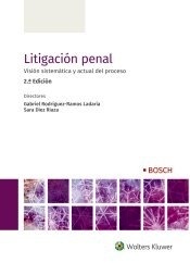 Litigación penal. "Visión sistemática y actual del proceso"