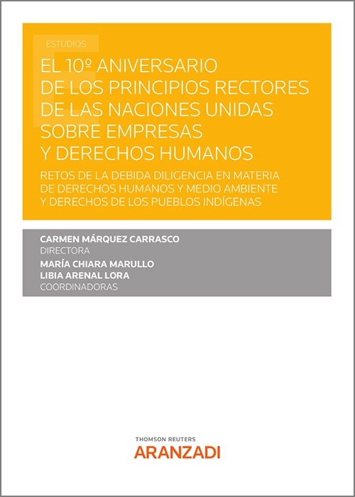 El 10º aniversario de los principios rectores de las Naciones Unidas sobre empresas y derechos humanos "Retos de la debida diligencia en materia de derechos humanos y medio ambiente y derechos de los pueblos indígenas."