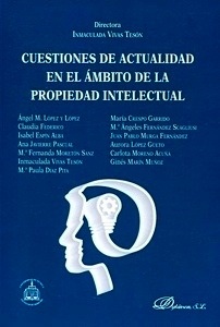 Cuestiones de actualidad en el ámbito de la propiedad intelectual