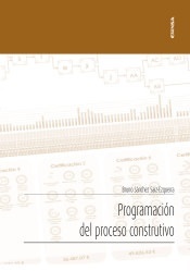 Programación del proceso constructivo