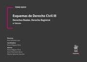 Esquemas de Derecho Civil III. Derechos reales. Derecho registral Tomo XXXVI