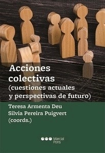 Acciones colectivas (cuestiones actuales y perspectivas de futuro)