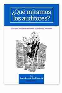 ¿Qué miramos los auditores? "Guia para abogados, directores financieros y contables"