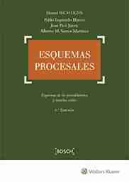 Esquemas procesales. Esquemas de los procedimientos y trámites civiles