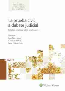 Prueba civil a debate judicial, La. Estudios prácticos sobre prueba civil I