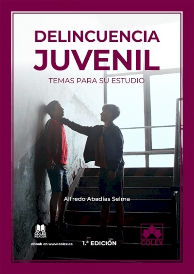 Delincuencia juvenil. Temas para su estudio