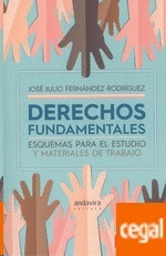 Derechos fundamentales. Esquemas para el estudio y materiales de trabajo