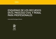 Esquemas de los recursos en el proceso civil y penal para profesionales. Tomo L