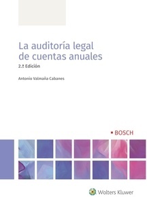 Auditoría legal de cuentas anuales, La