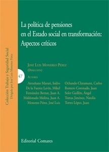 Política de pensiones en el Estado Social en transformación, La Aspectos criticos