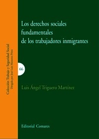 Derechos sociales fundamentales de los trabajadores inmigrantes, Los