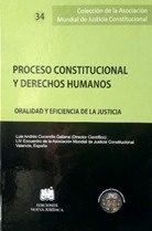 Proceso Constitucional y Derechos Humanos: Oralidad y Eficiencia de la Justicia