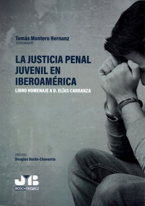 Justicia penal juvenil en Iberoamérica, La