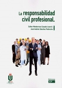 Responsabilidad civil profesional, La