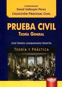 Prueba Civil Teoría General "Teoria y práctica"