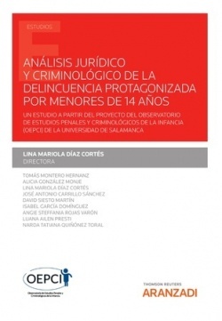 Análisis jurídico y criminológico de la delincuencia protagonizada por menores de 14 años