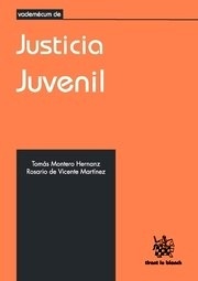 Vademécum de Justicia Juvenil