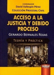 Acceso a la justicia y debido proceso "Teoría y Práctica"