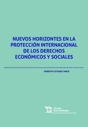 Nuevos horizontes en la protección internacional derechos económicos y sociales
