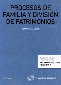 Procesos de familia y división de patrimonios (dúo)
