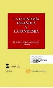 Economía española y la pandemia, La