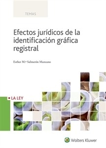 Efectos jurídicos de la identificación gráfica registral