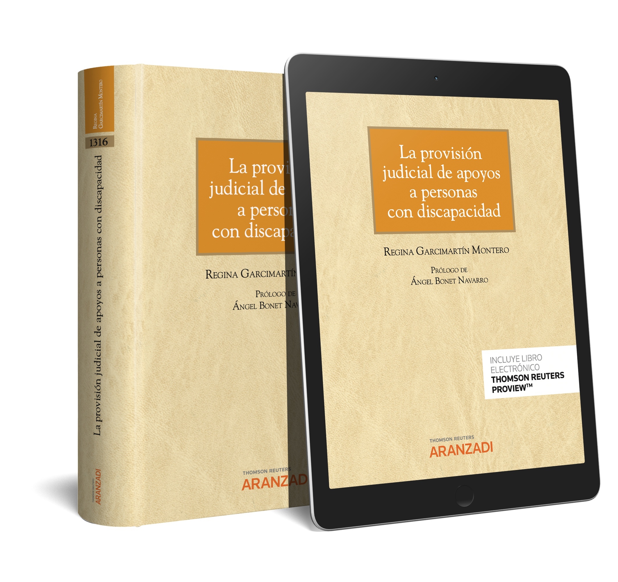 Provisión judicial de apoyos a personas con discapacidad, La